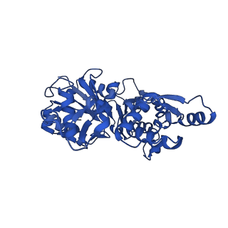 21155_6vec_F_v1-1
Cryo-EM structure of F-actin/Plastin2-ABD2 complex