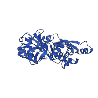 21155_6vec_F_v1-2
Cryo-EM structure of F-actin/Plastin2-ABD2 complex