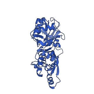 21155_6vec_G_v1-1
Cryo-EM structure of F-actin/Plastin2-ABD2 complex