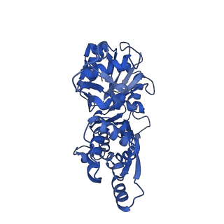 21155_6vec_G_v1-2
Cryo-EM structure of F-actin/Plastin2-ABD2 complex