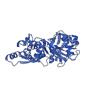 21155_6vec_H_v1-1
Cryo-EM structure of F-actin/Plastin2-ABD2 complex