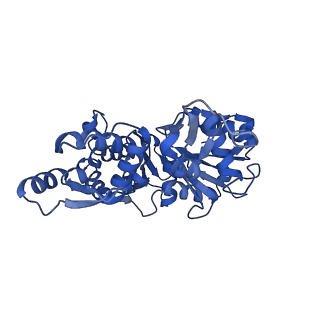 21155_6vec_H_v1-2
Cryo-EM structure of F-actin/Plastin2-ABD2 complex