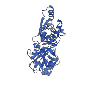 21155_6vec_I_v1-2
Cryo-EM structure of F-actin/Plastin2-ABD2 complex