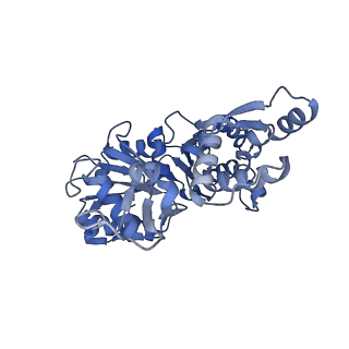 21155_6vec_J_v1-1
Cryo-EM structure of F-actin/Plastin2-ABD2 complex