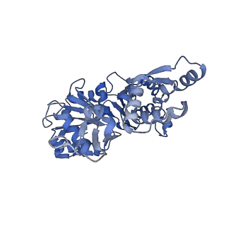 21155_6vec_J_v1-2
Cryo-EM structure of F-actin/Plastin2-ABD2 complex