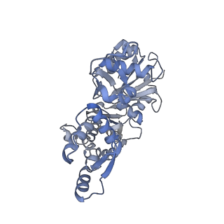 21155_6vec_K_v1-1
Cryo-EM structure of F-actin/Plastin2-ABD2 complex