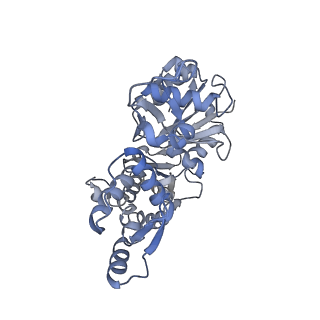 21155_6vec_K_v1-2
Cryo-EM structure of F-actin/Plastin2-ABD2 complex