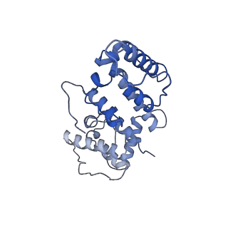 21155_6vec_a_v1-1
Cryo-EM structure of F-actin/Plastin2-ABD2 complex