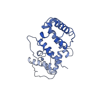 21155_6vec_a_v1-2
Cryo-EM structure of F-actin/Plastin2-ABD2 complex