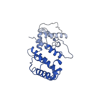21155_6vec_b_v1-1
Cryo-EM structure of F-actin/Plastin2-ABD2 complex