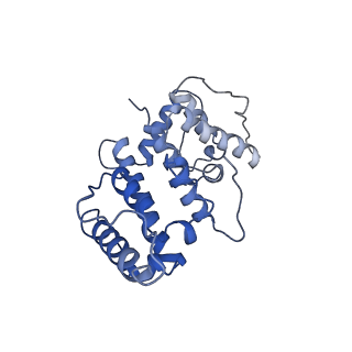 21155_6vec_c_v1-1
Cryo-EM structure of F-actin/Plastin2-ABD2 complex
