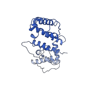 21155_6vec_d_v1-1
Cryo-EM structure of F-actin/Plastin2-ABD2 complex