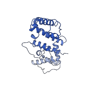 21155_6vec_d_v1-2
Cryo-EM structure of F-actin/Plastin2-ABD2 complex