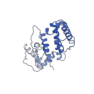 21155_6vec_e_v1-1
Cryo-EM structure of F-actin/Plastin2-ABD2 complex