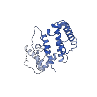 21155_6vec_e_v1-2
Cryo-EM structure of F-actin/Plastin2-ABD2 complex