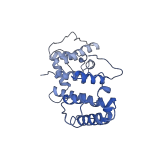 21155_6vec_f_v1-1
Cryo-EM structure of F-actin/Plastin2-ABD2 complex