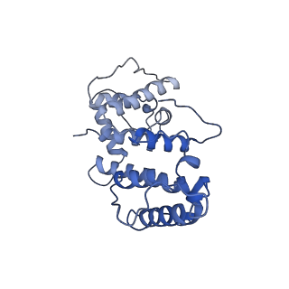 21155_6vec_f_v1-2
Cryo-EM structure of F-actin/Plastin2-ABD2 complex