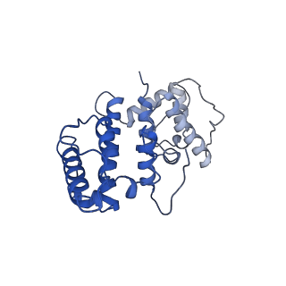 21155_6vec_g_v1-1
Cryo-EM structure of F-actin/Plastin2-ABD2 complex