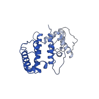 21155_6vec_g_v1-2
Cryo-EM structure of F-actin/Plastin2-ABD2 complex