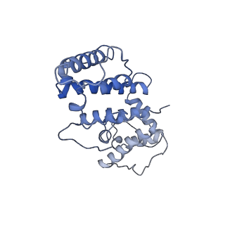 21155_6vec_h_v1-1
Cryo-EM structure of F-actin/Plastin2-ABD2 complex