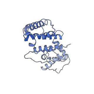 21155_6vec_h_v1-2
Cryo-EM structure of F-actin/Plastin2-ABD2 complex