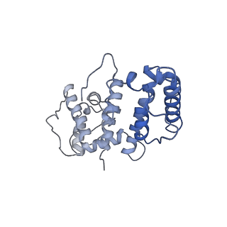 21155_6vec_i_v1-1
Cryo-EM structure of F-actin/Plastin2-ABD2 complex