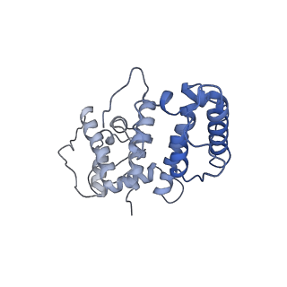 21155_6vec_i_v1-2
Cryo-EM structure of F-actin/Plastin2-ABD2 complex