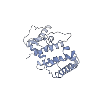 21155_6vec_j_v1-1
Cryo-EM structure of F-actin/Plastin2-ABD2 complex