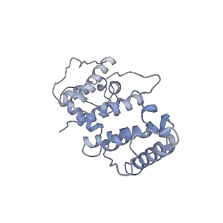 21155_6vec_j_v1-2
Cryo-EM structure of F-actin/Plastin2-ABD2 complex