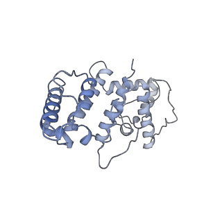 21155_6vec_k_v1-1
Cryo-EM structure of F-actin/Plastin2-ABD2 complex