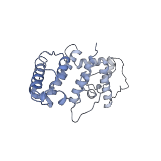 21155_6vec_k_v1-2
Cryo-EM structure of F-actin/Plastin2-ABD2 complex