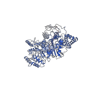 21156_6vef_A_v1-0
Cryo-EM Structure of Escherichia coli 2-oxoglutarate dehydrogenase E1 component sucA