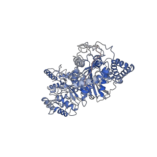 21156_6vef_A_v1-1
Cryo-EM Structure of Escherichia coli 2-oxoglutarate dehydrogenase E1 component sucA