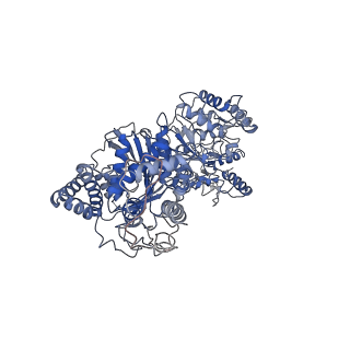 21156_6vef_B_v1-0
Cryo-EM Structure of Escherichia coli 2-oxoglutarate dehydrogenase E1 component sucA