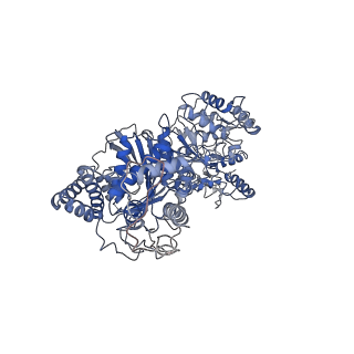 21156_6vef_B_v1-1
Cryo-EM Structure of Escherichia coli 2-oxoglutarate dehydrogenase E1 component sucA