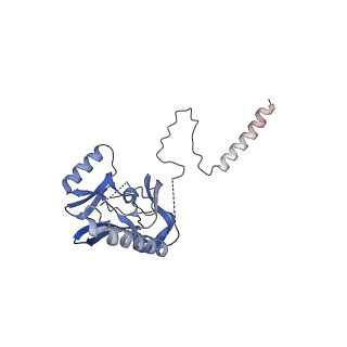 21157_6ven_N_v1-1
Yeast COMPASS in complex with a ubiquitinated nucleosome