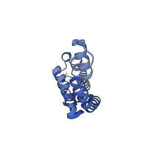 31944_7vea_aH_v1-1
Pentacylindrical allophycocyanin core from Thermosynechococcus vulcanus