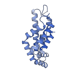 31944_7vea_dL_v1-1
Pentacylindrical allophycocyanin core from Thermosynechococcus vulcanus
