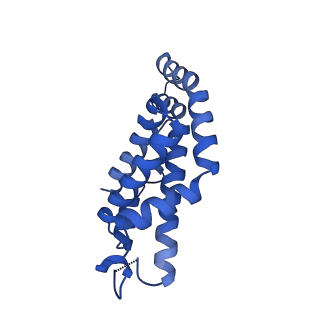 31944_7vea_eN_v1-1
Pentacylindrical allophycocyanin core from Thermosynechococcus vulcanus