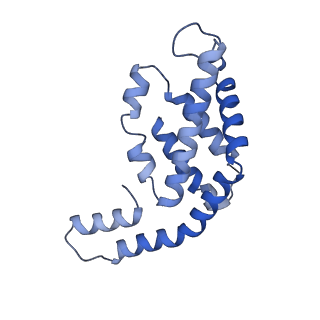 31945_7veb_A_v1-1
Phycocyanin rod structure of cyanobacterial phycobilisome