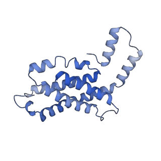 31945_7veb_B_v1-1
Phycocyanin rod structure of cyanobacterial phycobilisome