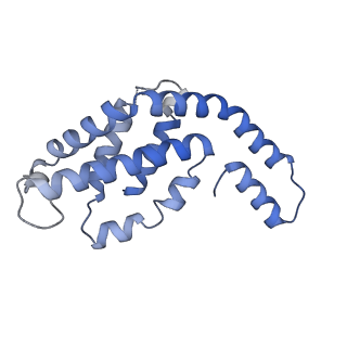 31945_7veb_C_v1-1
Phycocyanin rod structure of cyanobacterial phycobilisome