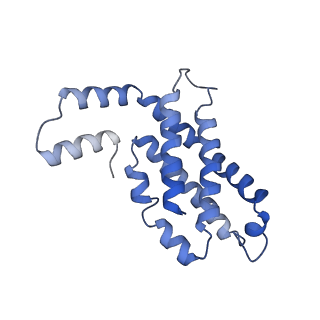 31945_7veb_D_v1-1
Phycocyanin rod structure of cyanobacterial phycobilisome