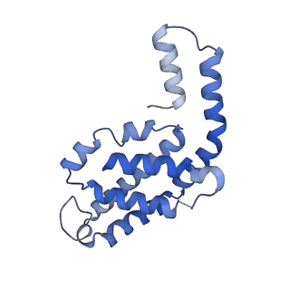 31945_7veb_E_v1-1
Phycocyanin rod structure of cyanobacterial phycobilisome