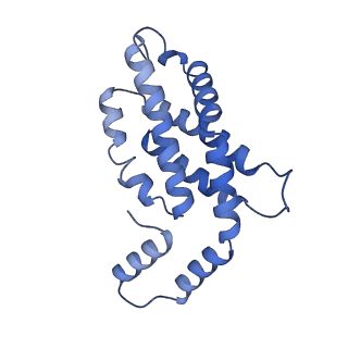 31945_7veb_F_v1-1
Phycocyanin rod structure of cyanobacterial phycobilisome