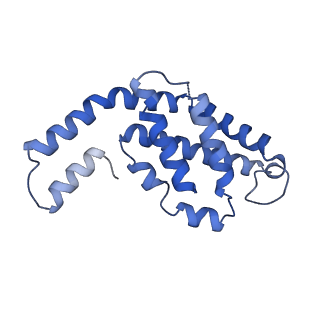 31945_7veb_G_v1-1
Phycocyanin rod structure of cyanobacterial phycobilisome
