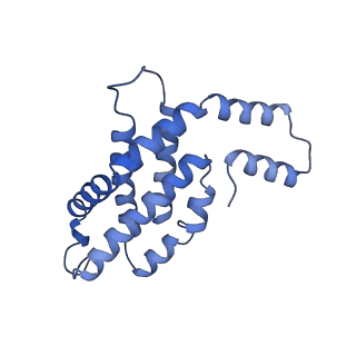 31945_7veb_H_v1-1
Phycocyanin rod structure of cyanobacterial phycobilisome