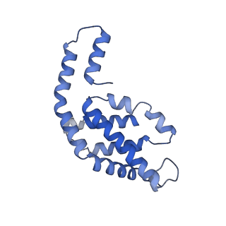 31945_7veb_I_v1-1
Phycocyanin rod structure of cyanobacterial phycobilisome