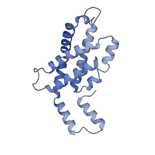 31945_7veb_J_v1-1
Phycocyanin rod structure of cyanobacterial phycobilisome