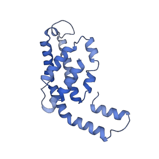 31945_7veb_K_v1-1
Phycocyanin rod structure of cyanobacterial phycobilisome